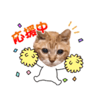猫のさえ（個別スタンプ：2）