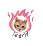 猫のさえ（個別スタンプ：3）