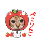 猫のさえ（個別スタンプ：4）