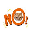 猫のさえ（個別スタンプ：7）