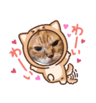 猫のさえ（個別スタンプ：8）