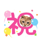猫のさえ（個別スタンプ：9）