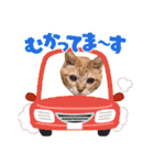 猫のさえ（個別スタンプ：10）