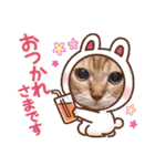 猫のさえ（個別スタンプ：11）