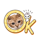 猫のさえ（個別スタンプ：18）