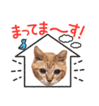 猫のさえ（個別スタンプ：20）
