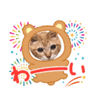 猫のさえ（個別スタンプ：21）