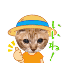 猫のさえ（個別スタンプ：23）