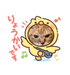 猫のさえ（個別スタンプ：24）