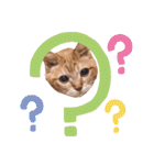 猫のさえ（個別スタンプ：27）