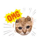 猫のさえ（個別スタンプ：30）