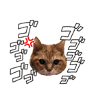 猫のさえ（個別スタンプ：35）