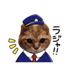 猫のさえ（個別スタンプ：37）