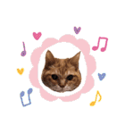 猫のさえ（個別スタンプ：40）