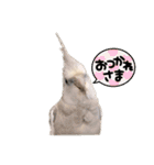 minchopila 9（個別スタンプ：13）