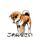 たまに良いことを言う柴犬 日常会話 40種類（個別スタンプ：9）