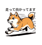 たまに良いことを言う柴犬 日常会話 40種類（個別スタンプ：21）