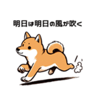 たまに良いことを言う柴犬 日常会話 40種類（個別スタンプ：29）