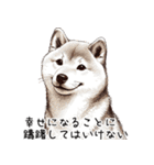 たまに良いことを言う柴犬 日常会話 40種類（個別スタンプ：39）