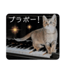 テヌレオポン子猫ポンチキ音楽家Ver.（個別スタンプ：1）