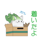 だいネコん（個別スタンプ：7）