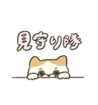 褒めるお猫さんスタンプ（個別スタンプ：35）