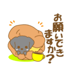 わんこ日和(黒ラブラドール)-toYvu-（個別スタンプ：10）