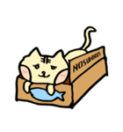 へちゃねこ（個別スタンプ：7）