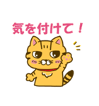 キジトラとしろねこちゃん2（個別スタンプ：1）