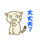 キジトラとしろねこちゃん2（個別スタンプ：13）