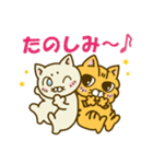 キジトラとしろねこちゃん2（個別スタンプ：21）