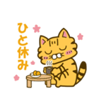 キジトラとしろねこちゃん2（個別スタンプ：29）