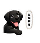 THE DOGRUNスタンプ 黒犬チョコ（個別スタンプ：11）