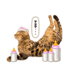 ちますけ倶楽部②（個別スタンプ：24）