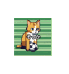 サッカーをする猫B（個別スタンプ：17）