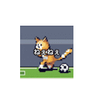 サッカーをする猫B（個別スタンプ：21）