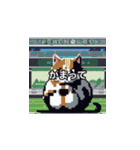 サッカーをする猫B（個別スタンプ：22）