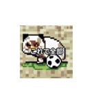 サッカーをする猫B（個別スタンプ：24）