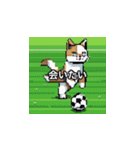 サッカーをする猫B（個別スタンプ：27）