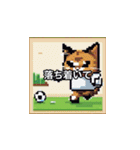 サッカーをする猫B（個別スタンプ：30）