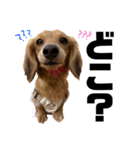 ぶんしゃんの日常会話3（個別スタンプ：29）