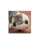 猫とサッカーボール（個別スタンプ：9）