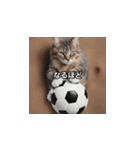 猫とサッカーボール（個別スタンプ：14）