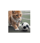 猫とサッカーボール（個別スタンプ：16）