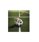 猫とサッカーボール（個別スタンプ：20）