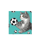 猫とサッカーボール（個別スタンプ：21）