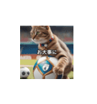 猫とサッカーボール（個別スタンプ：28）