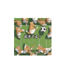 猫とサッカーボール（個別スタンプ：31）