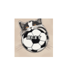 猫とサッカーボール（個別スタンプ：33）