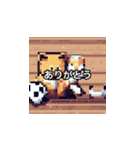 サッカーをする猫A（個別スタンプ：1）